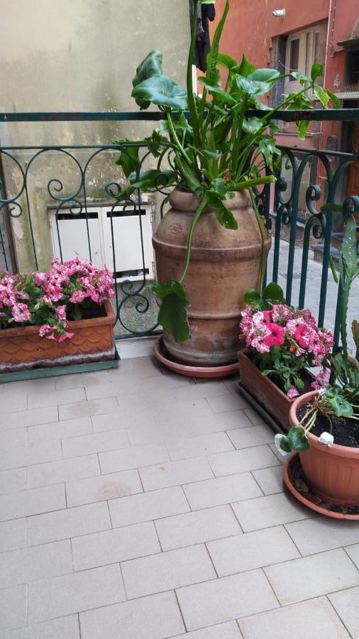 Apartment Chez Tamara With Private Parking And Air Conditioned